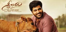 sharwanand-skips-sankranthi-targets-february