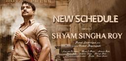 nani-shyam-singh-roy-shooting-update