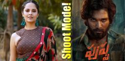 anasuya-pushpa-shooting