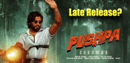 allu-arjun-pushpa-release-date-update