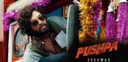 allu-arjun-pushpa-shooting-update