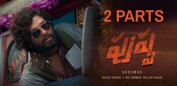 allu-arjun-pushpa-may-have-2-parts
