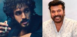 mammootty-role-in-akhil-agent-movie