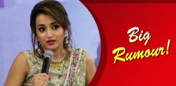 new-rumours-on-trisha-wedding