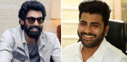 rana-sharwanand-movie