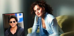 taapsee-grabs-a-golden-chance-with-shah-rukh-khan