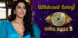 vishnu-priya-in-bigg-boss-telugu-5
