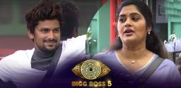 bigg-boss-s5-e45-priya-targets-sunny