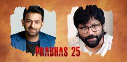 much-clarity-on-prabhas25