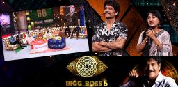 bigg-boss-episode-78-anee-eliminated