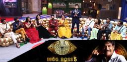 bigg-boss-telugu-vishwa-is-a-hero-pinky-is-the-villain