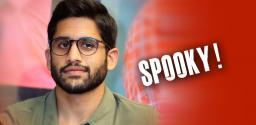 naga-chaitanya-upcoming-projects