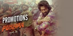 pushpa-finalizes-his-destination-for-promotions