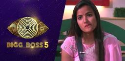 bigg-boss-telugu-episode-104-highlights