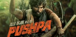 massy-trailer-of-pushpa-hikes-the-expectations
