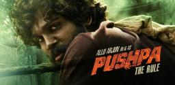 pushpa-the-rule-story-details
