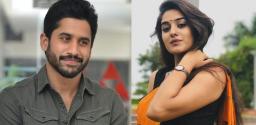 chay-to-romance-akhil-heroine