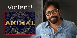 violent-gossip-on-sandeep-reddy-animal
