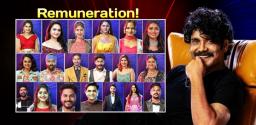 buzz-big-remunerations-of-bigg-boss-6-contestants