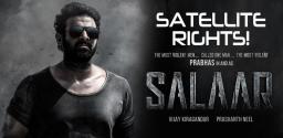 noted-tv-channel-bags-salaar-satellite-rights