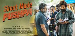 non-stop-filming-of-pushpa-underway