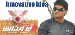 piglets-walking-as-part-of-movie-promotion