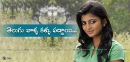 discussion-on-telugu-offers-for-actress-anandhi