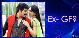 anushka-plays-the-special-role-in-nagarjuna-film