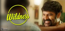 balakrishna-real-stunt-in-paisa-vasool-movie
