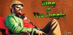 balayya-title-is-now-king-of-the-forest
