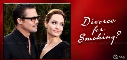 speculations-on-angelina-jolie-brad-pitt-divorce