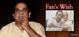 old-woman-fan-meets-brahmanandam