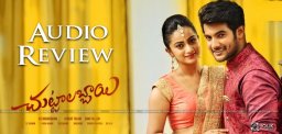 aadi-chuttalabbayi-audio-review-details