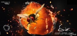 Eega-handed-National-Award