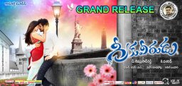Greekuveerudu-Grand-release