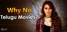 why-hansika-stopped-acting-in-telugu-
