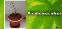 ntr-fans-janatha-garage-challenge-details