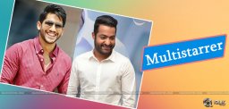 jr-ntr-naga-chaitanya-in-gundamma-kadha-remake