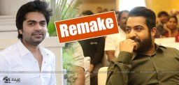 tamil-hero-simbu-to-remake-jrntr-temper-movie