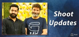 jrntr-trivikram-srinivas-movie-shooting-updates