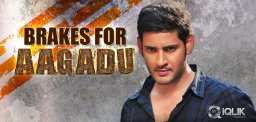 Brakes-for-Mahesh-Babu039-s-Aagadu