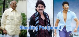 Manam-shooting-put-off-by-a-month
