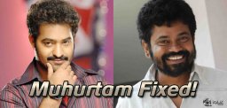 ntr-and-sukumar-movie-muhurtam-date