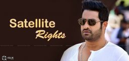 ntr-sukumar-movie-satellite-rights