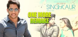 Singh-VS-Kaur-Remake
