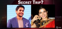 naga-chaitanya-and-samantha-new-year-plan