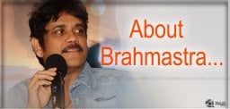 king-nagarjuna-about-chi-law-sow-and-brahmastra