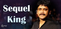 nagarjuna-ready-for-raju-gari-gadhi-sequel