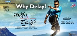 reason-behind-censor-delay-for-nannaku-prematho