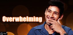mahesh-babu-nenokkadine-rocks-coconut-land
